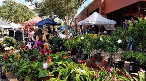 Winter Park Farmers' Market