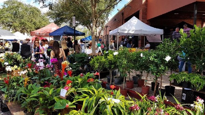 Winter Park Farmers' Market