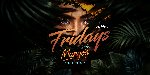 URBAN FRIDAYS