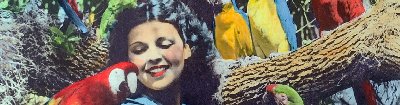 FLORIDIANA: Vintage Treasures & Oddities from the Sunshine State at Orlando Museum of Art — Sep 18, 2026