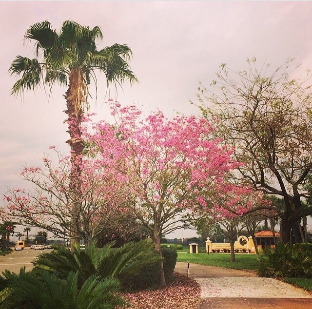 UCF's Rosen College of Hospitality Management