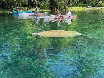 Epic Paddle Adventures in Orlando
