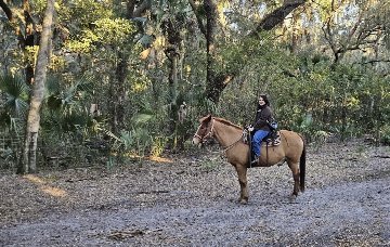 Hidden Palms Ranch in Orlando