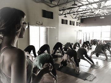 College Park Yoga - Vinyasa & All-Levels in Orlando