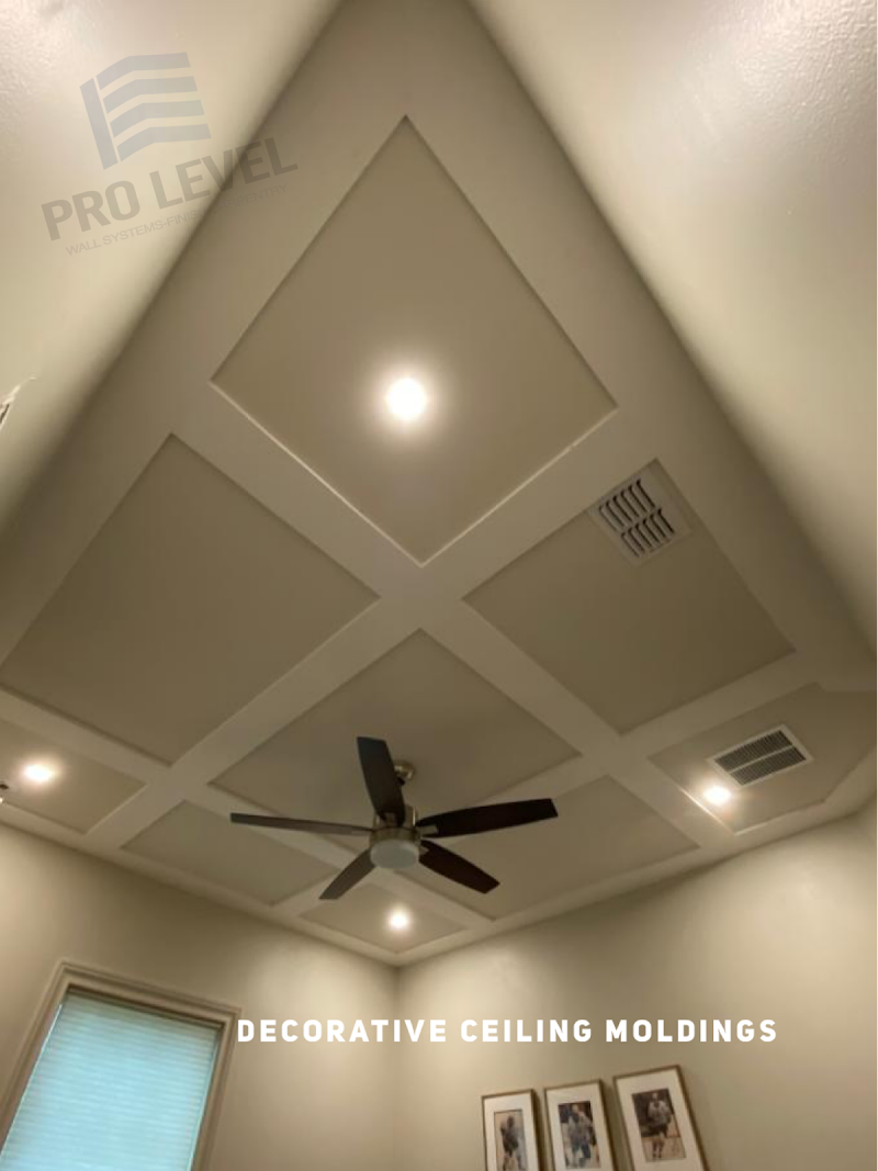 Pro Level Services LLC Contractor in Winter Park, Orlando