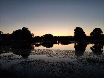 Barber Park in Orlando