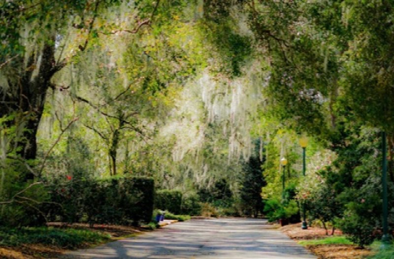 Harry P. Leu Gardens